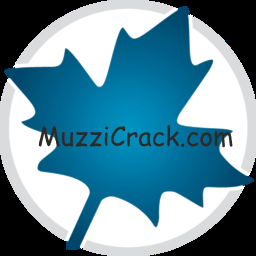 Maplesoft Maple Crack 2024